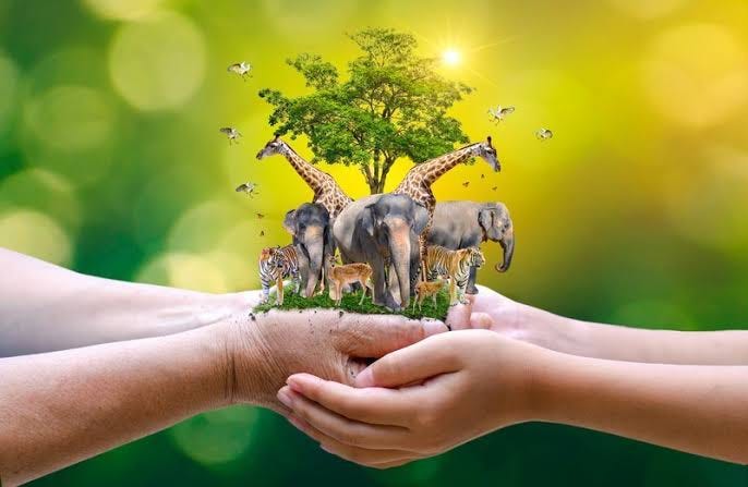 අද ලෝක සංරක්ෂණ වෘත්තිකයන් සැමරීමේ දිනය යි.