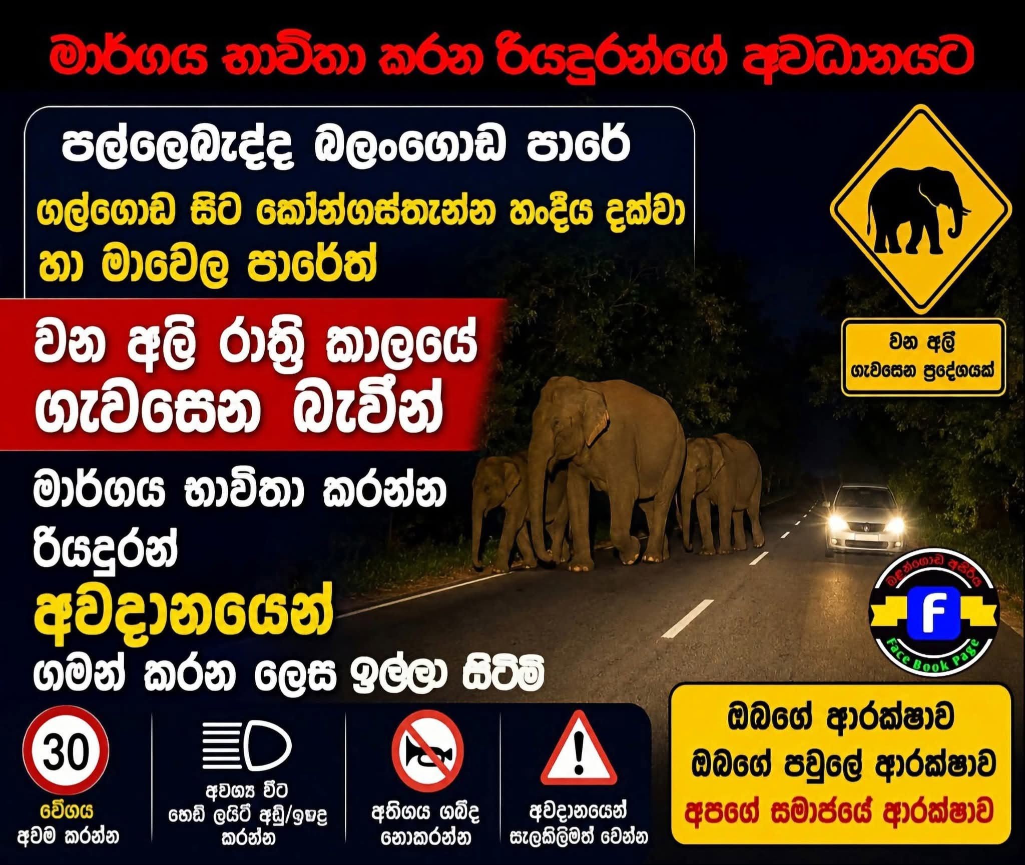 බලංගොඩ මාවෙලට ආපු අලි .