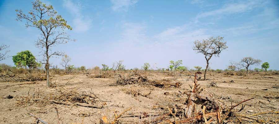 දිවයිනේ වනාන්තර වනසමින් ජාත්‍යන්තරයේ දේශගුණ යුක්තිය ඉල්ලන ආණ්ඩුවේ දෙබිඩි පිළිවෙත   