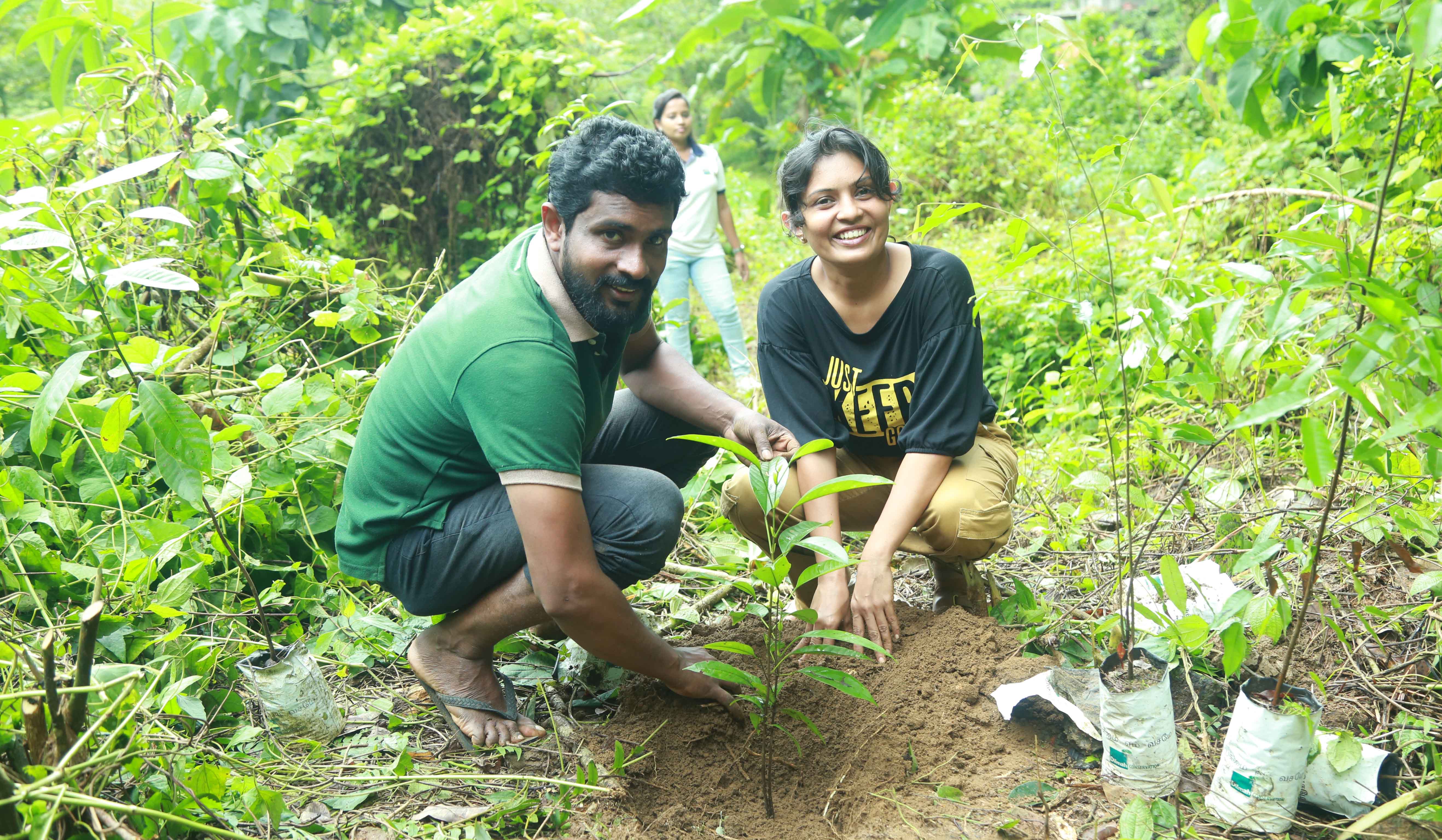රබර් වත්තක් වනාන්තරයක් කළ නාවලකන්දේ චන්දිමාල් ඉන්දිකගේ අපූරු පාරමිතාව...