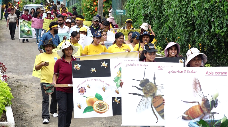 බත් කටවල් තුනෙන් එකක් අපිට කවන මී මැස්සෝ .